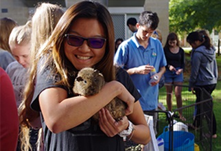 Female resident cuddles rabbit at petting zoo