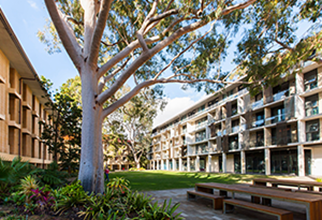 University Hall upper quad